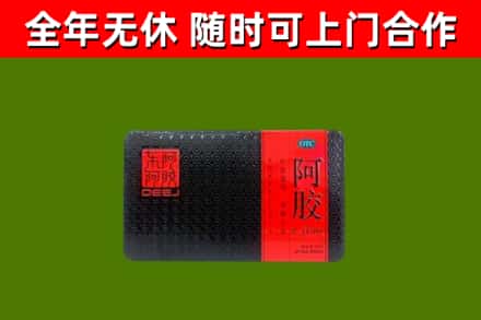 屏边县回收阿胶